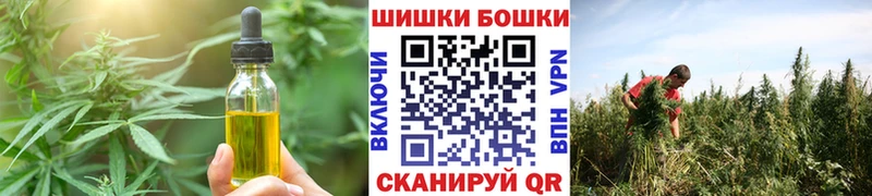 мориарти клад Истра Canna-Cookies марихуана где продают наркотики