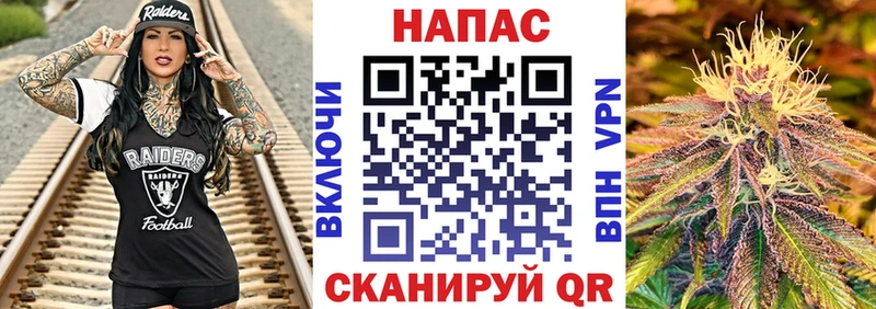 Канабис тримм  ссылка на мегу tor  Истра  купить  